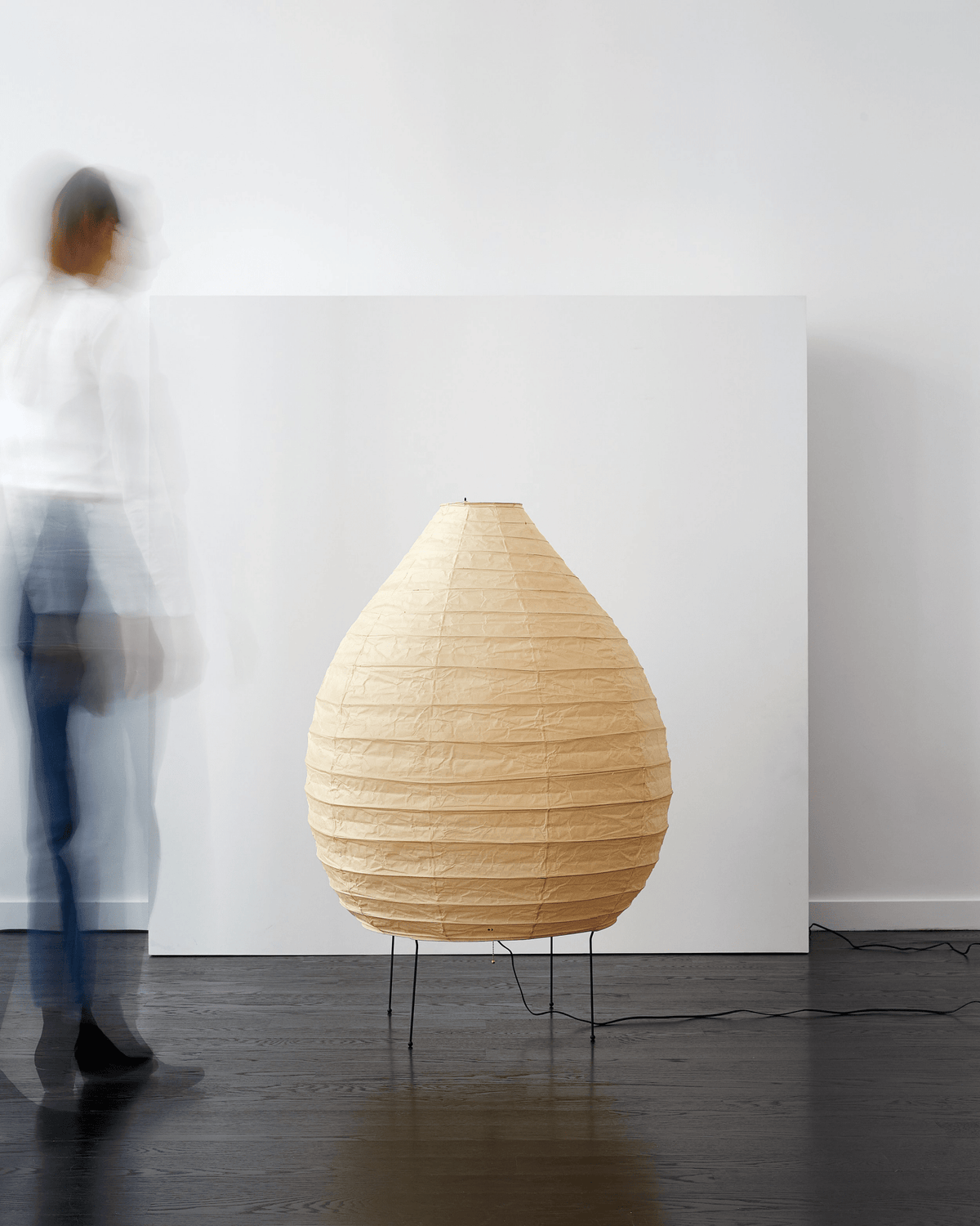 Viraiviella Modern Floor Lamp