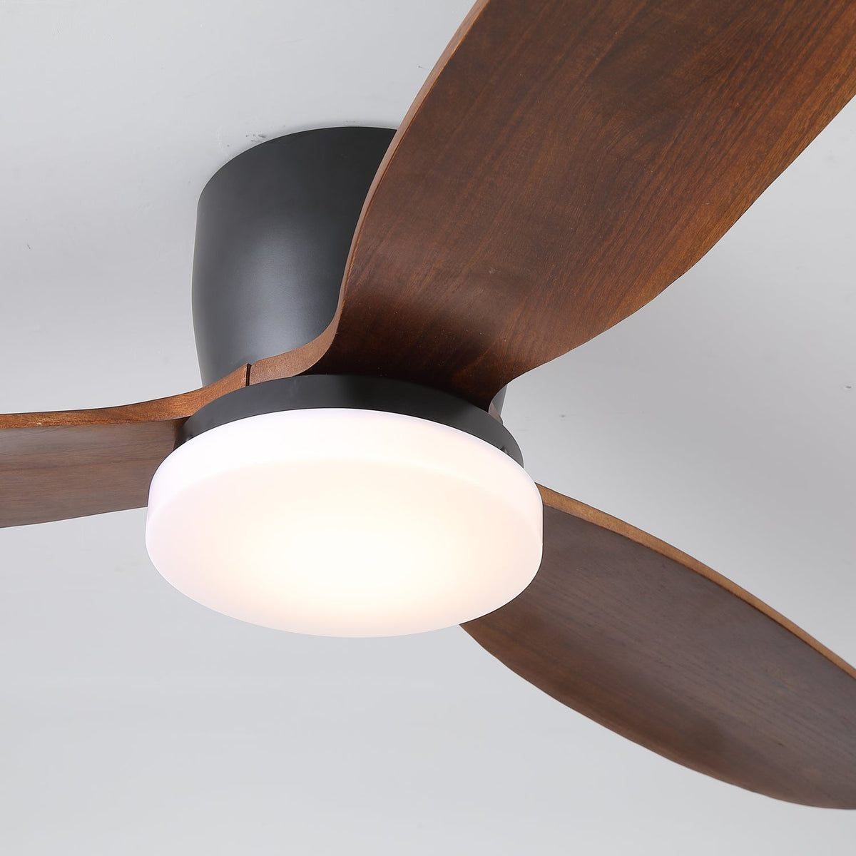 Athyrs Ceiling Fan Light