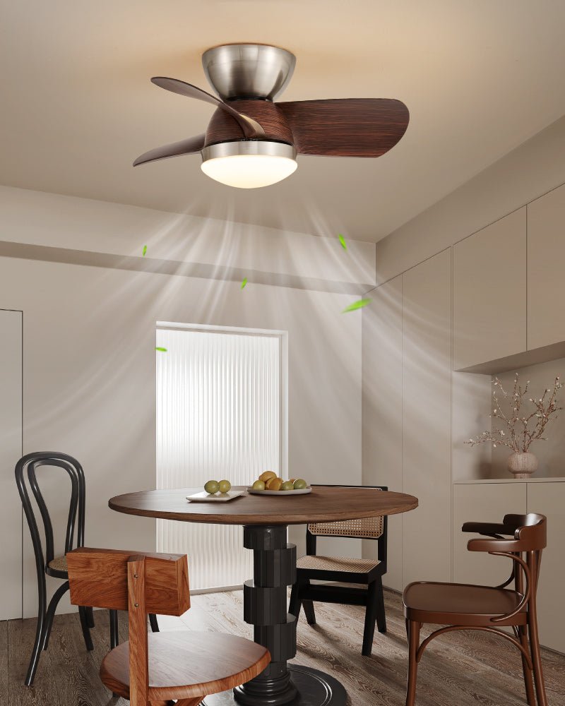 Dyms Ceiling Fan Light