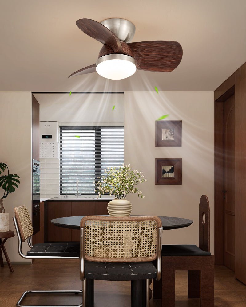 Dyms Ceiling Fan Light