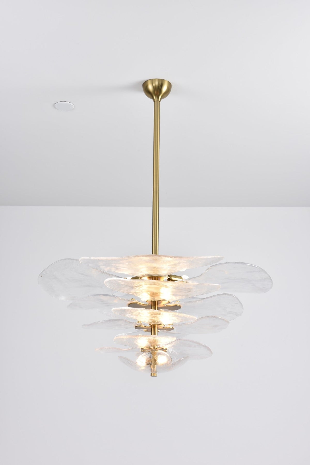 Crivs Chandelier Gold Murano Glass Petal Luxury