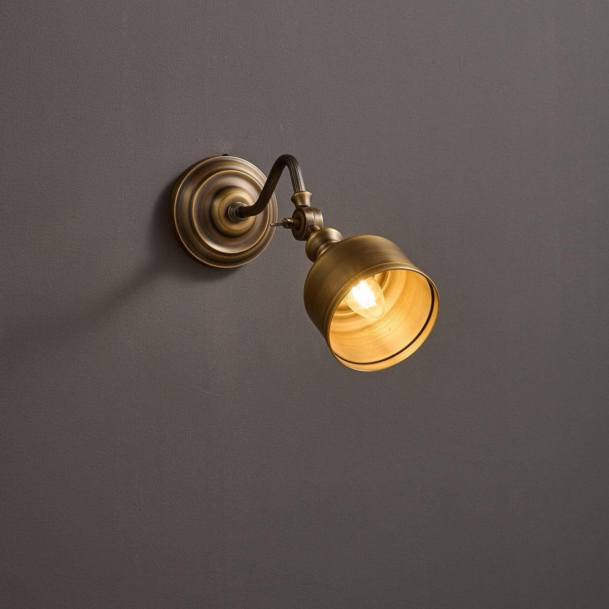 Dukia Gooseneck Indoor Wall Light