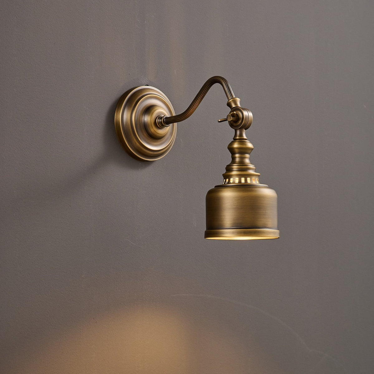 Dukia Gooseneck Indoor Wall Light