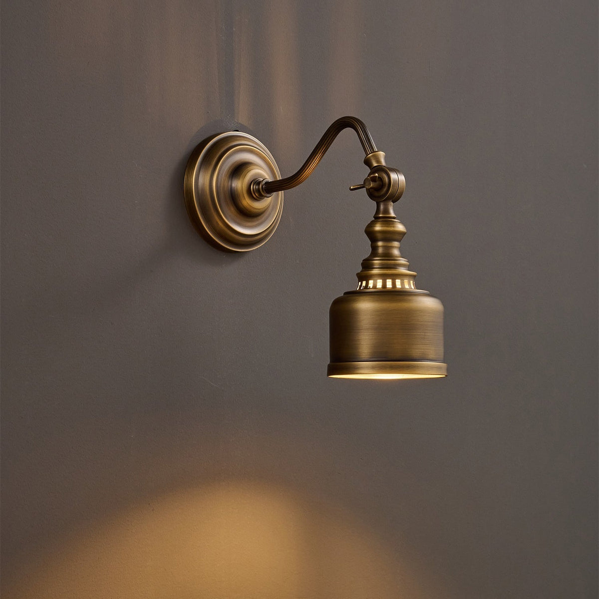 Dukia Gooseneck Indoor Wall Light