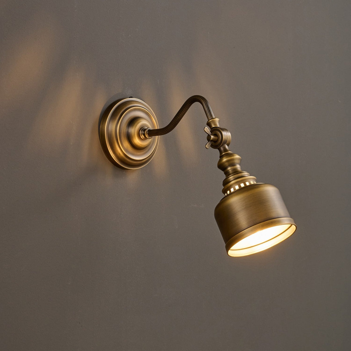 Dukia Gooseneck Indoor Wall Light