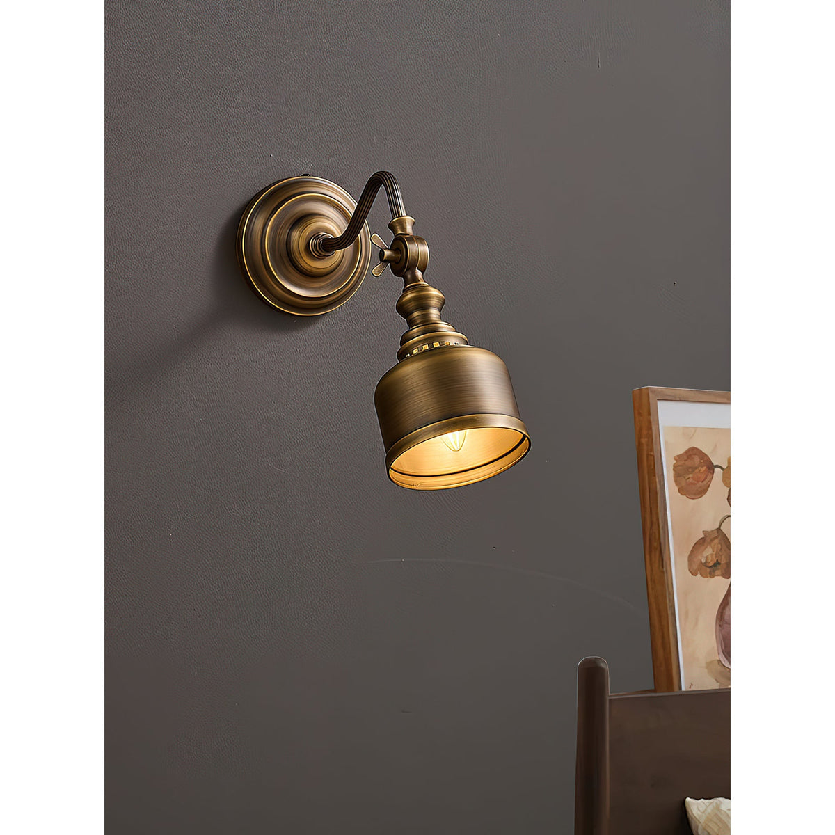 Dukia Gooseneck Indoor Wall Light