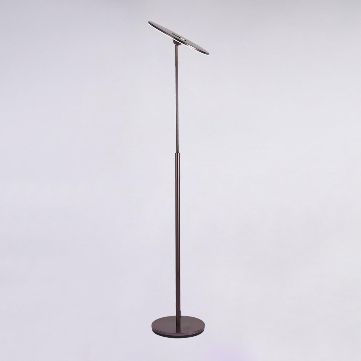 Evynora Minimalist Floor Lamp