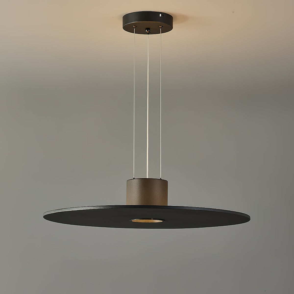 Gloruvyi Modern Minimalist Original Pendant Lamp