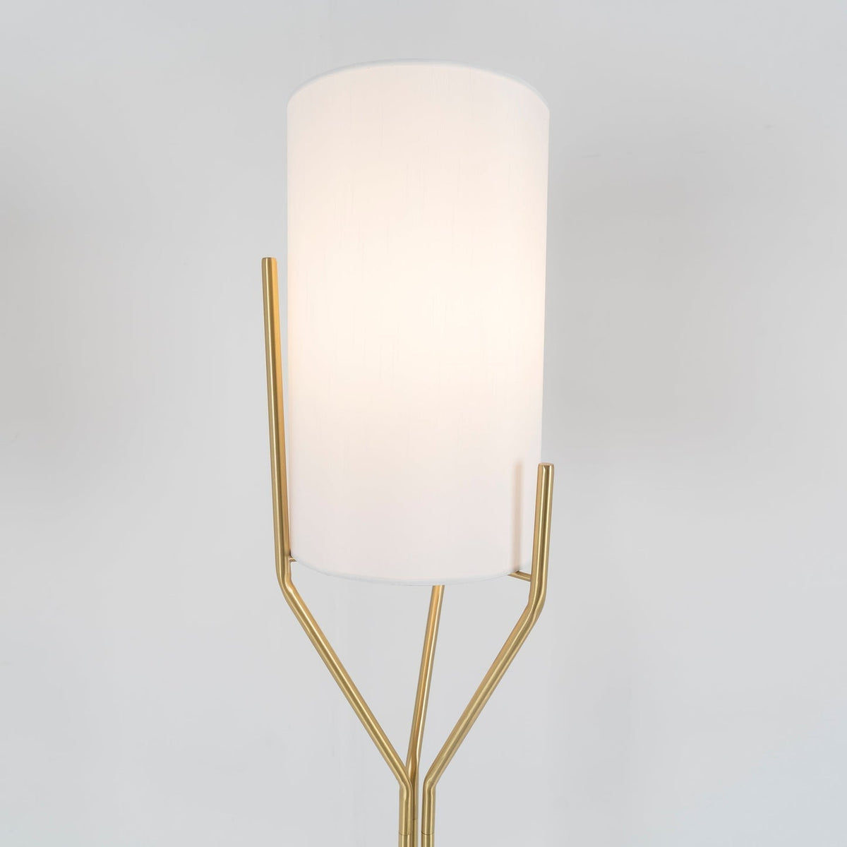 Aureina Glam Brass Floor Lamp