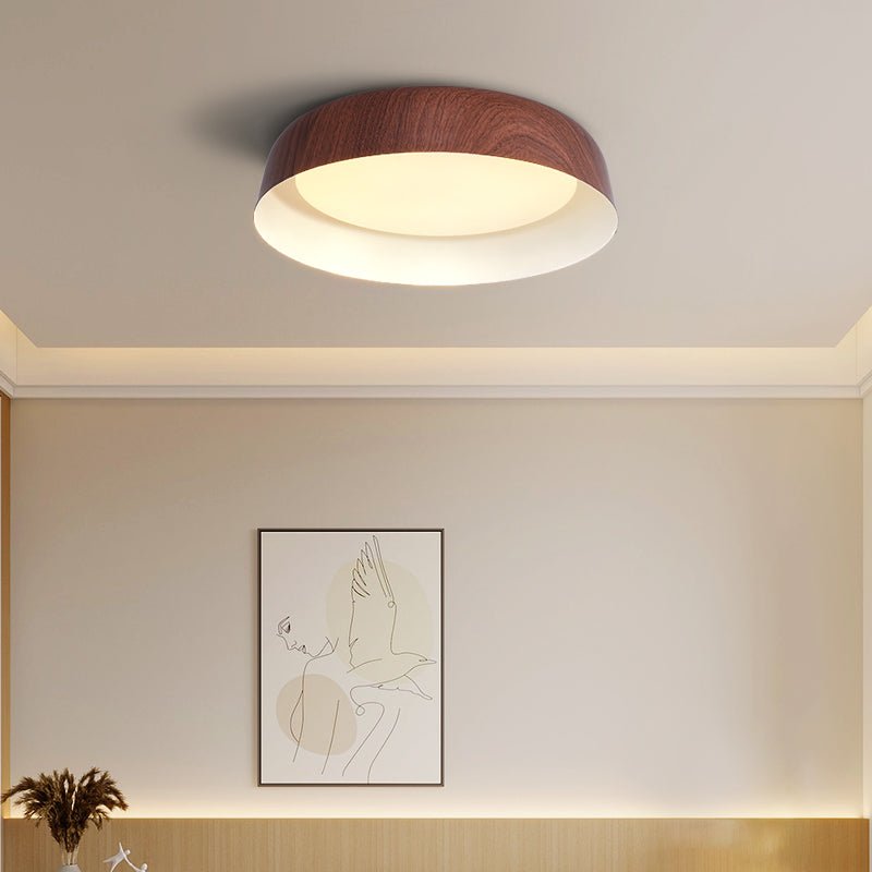 Viraenena Modern Minimalist Ceiling Light