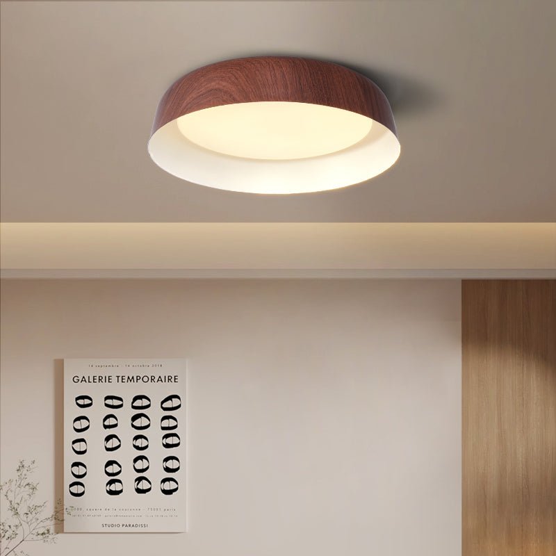 Viraenena Modern Minimalist Ceiling Light