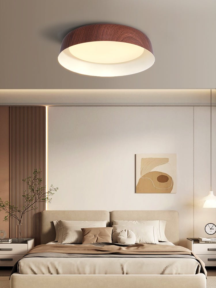 Viraenena Modern Minimalist Ceiling Light