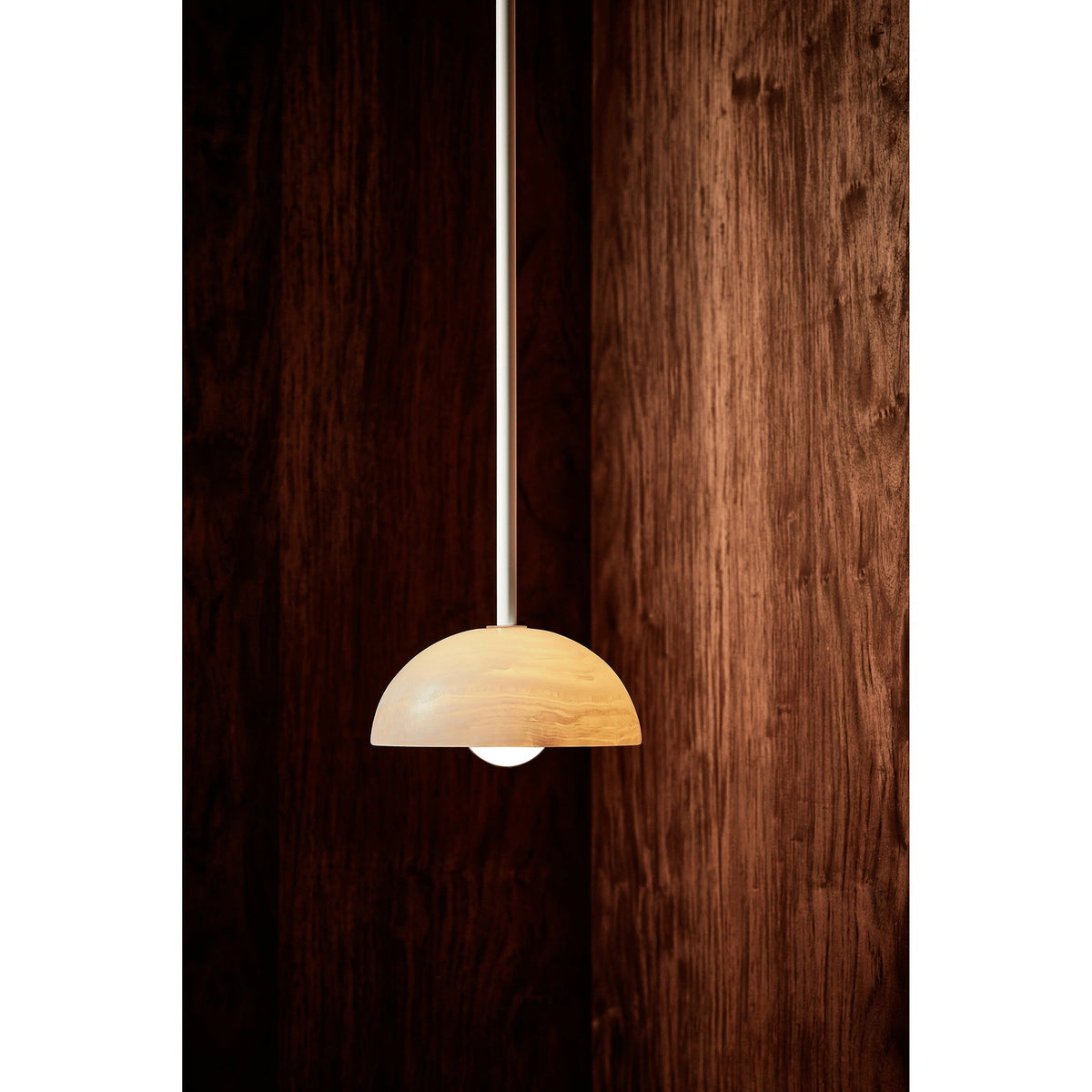 Eronex Modern Minimalist Elegance Brass Glass Pendant Lamp