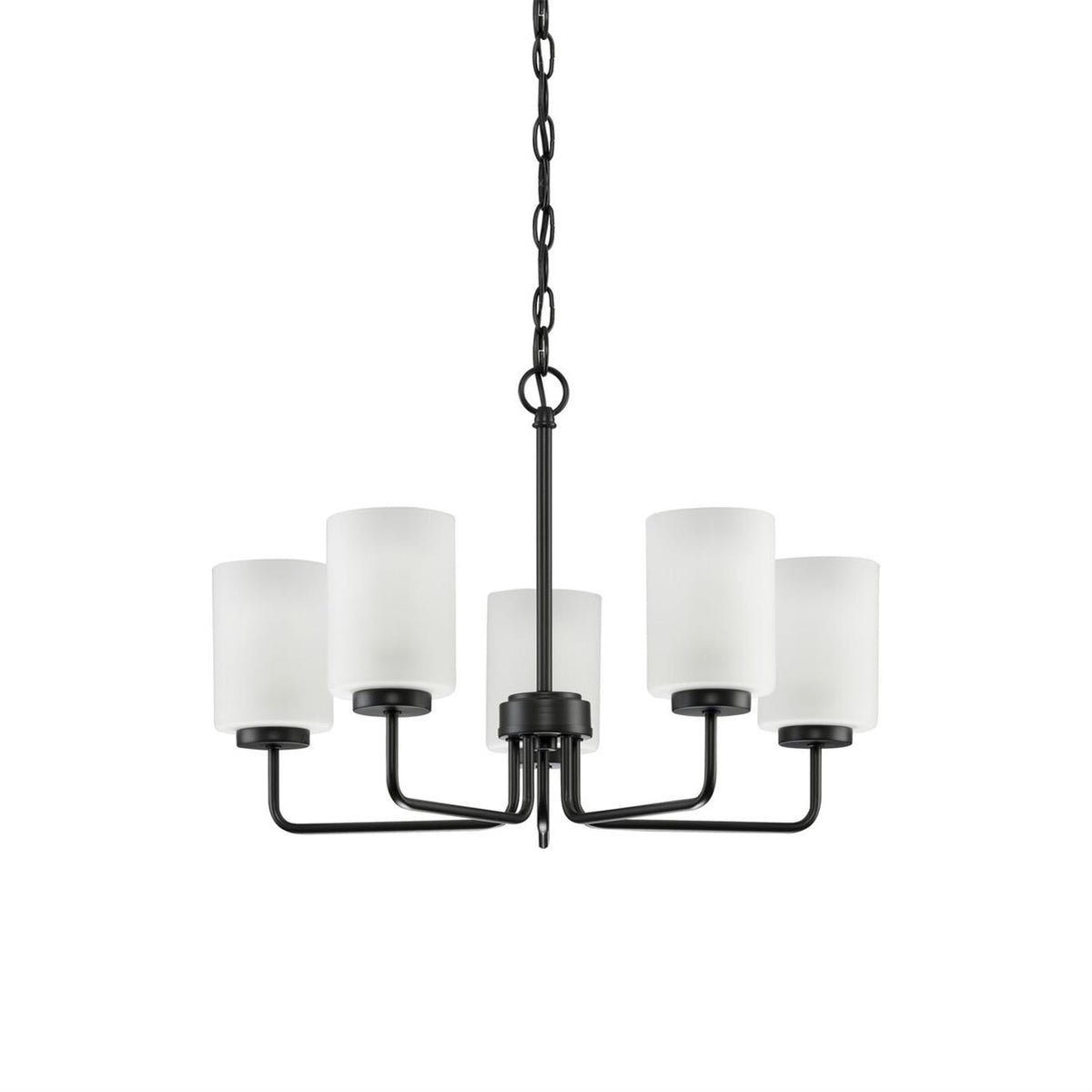 Reniraria Chandelier