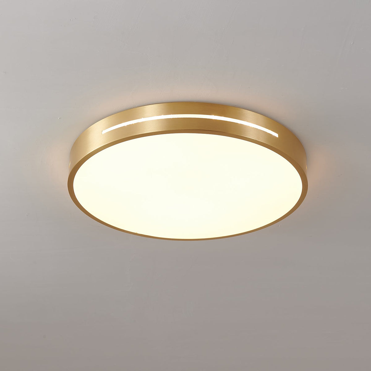 Eurcarara Modern Minimalist Brass Ceiling Light