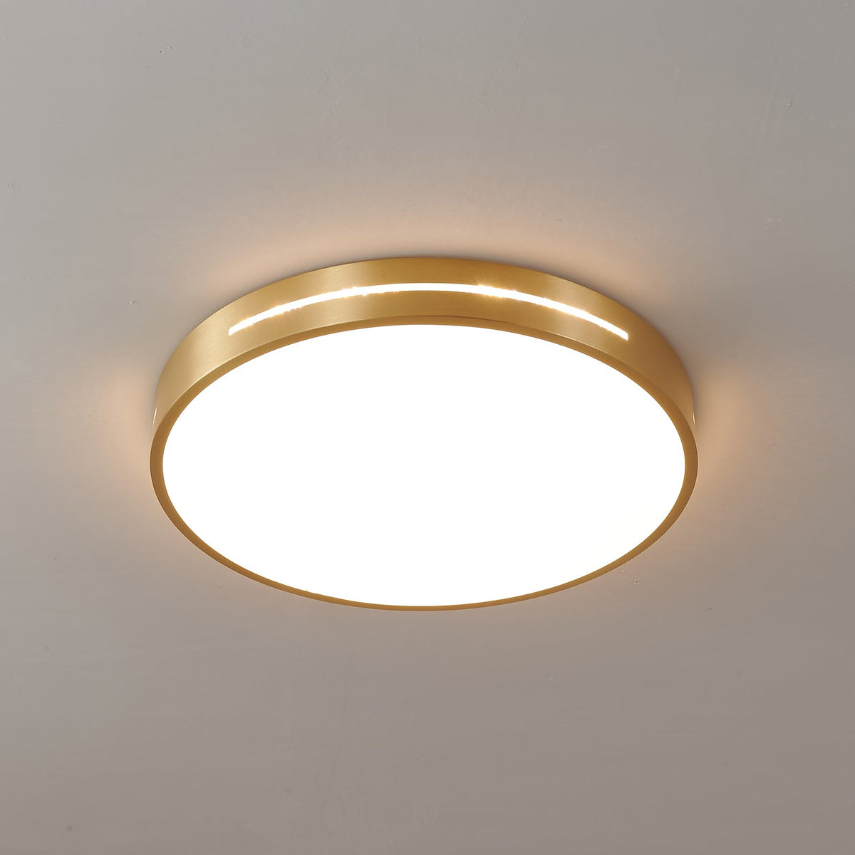 Eurcarara Modern Minimalist Brass Ceiling Light