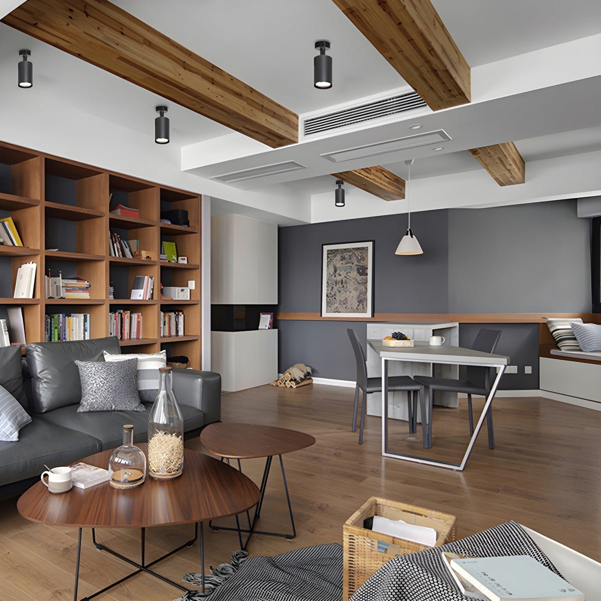 Sysorila Modern Minimalist Beam Spotlight Ceiling lamp