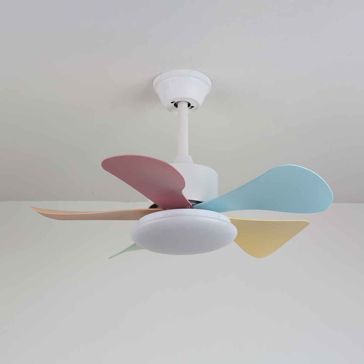 Celoia Colorful Glass Ceiling Fan Light