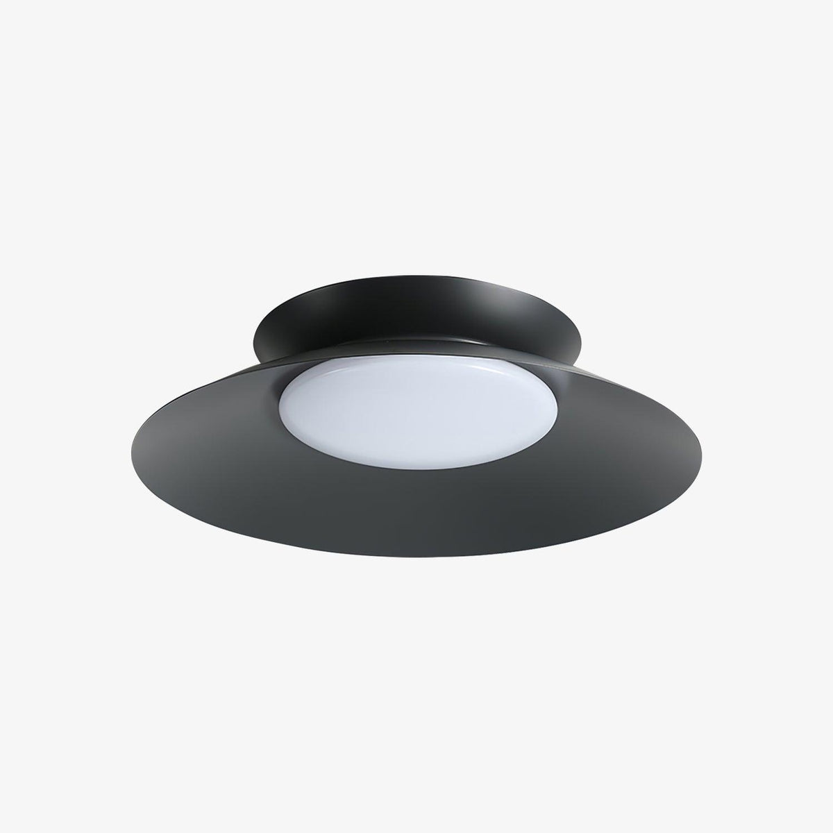 Zezoraris Ceiling Light