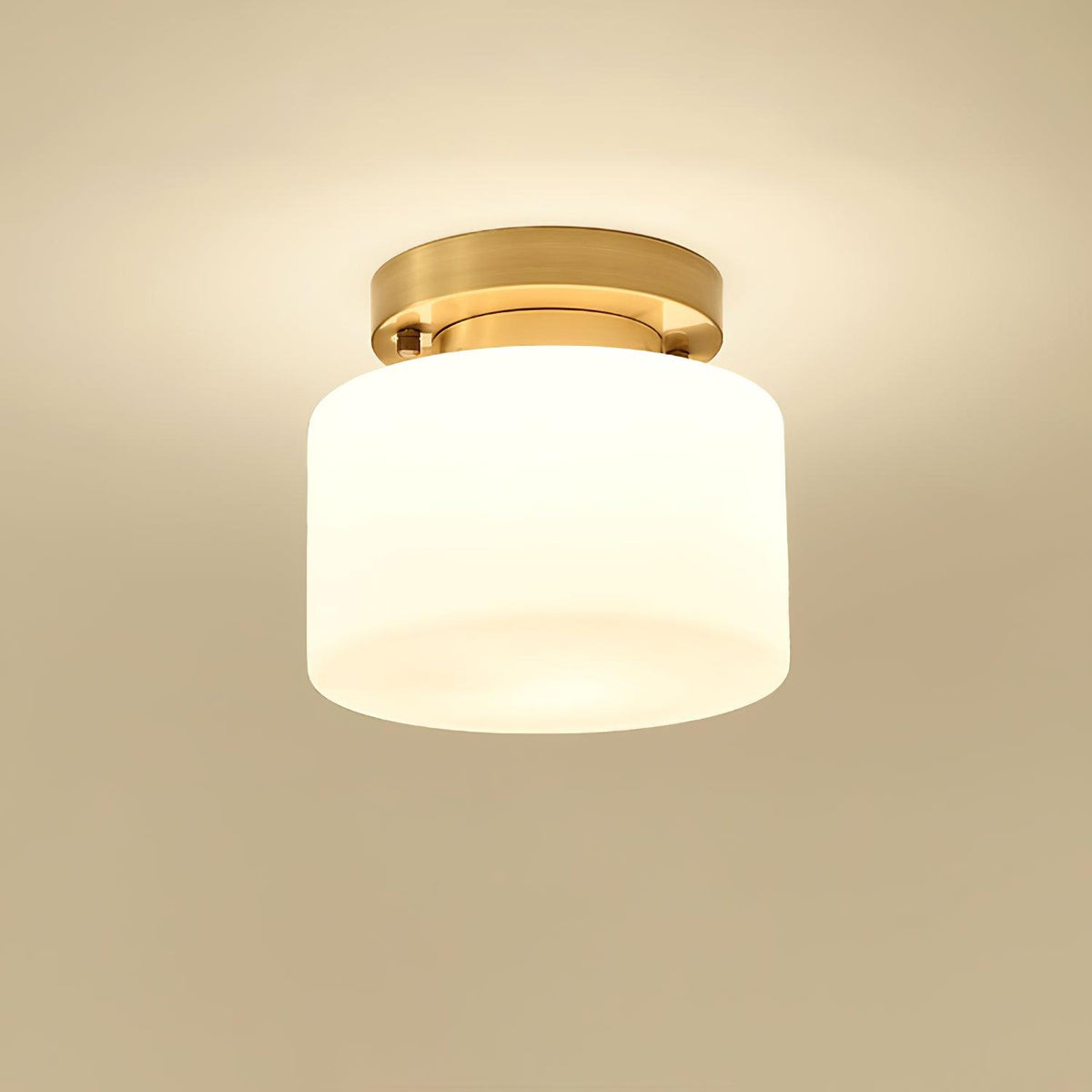 Elsilisra Nordic Art Brass Glass Flush Mount Ceiling Light