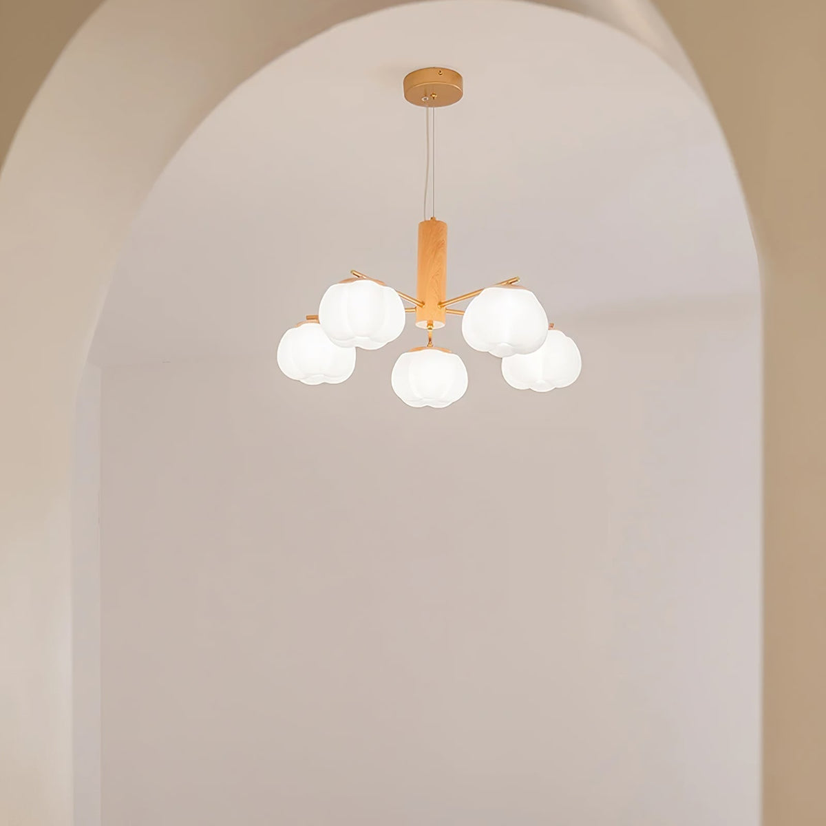 Ciruine Vintage Chandelier