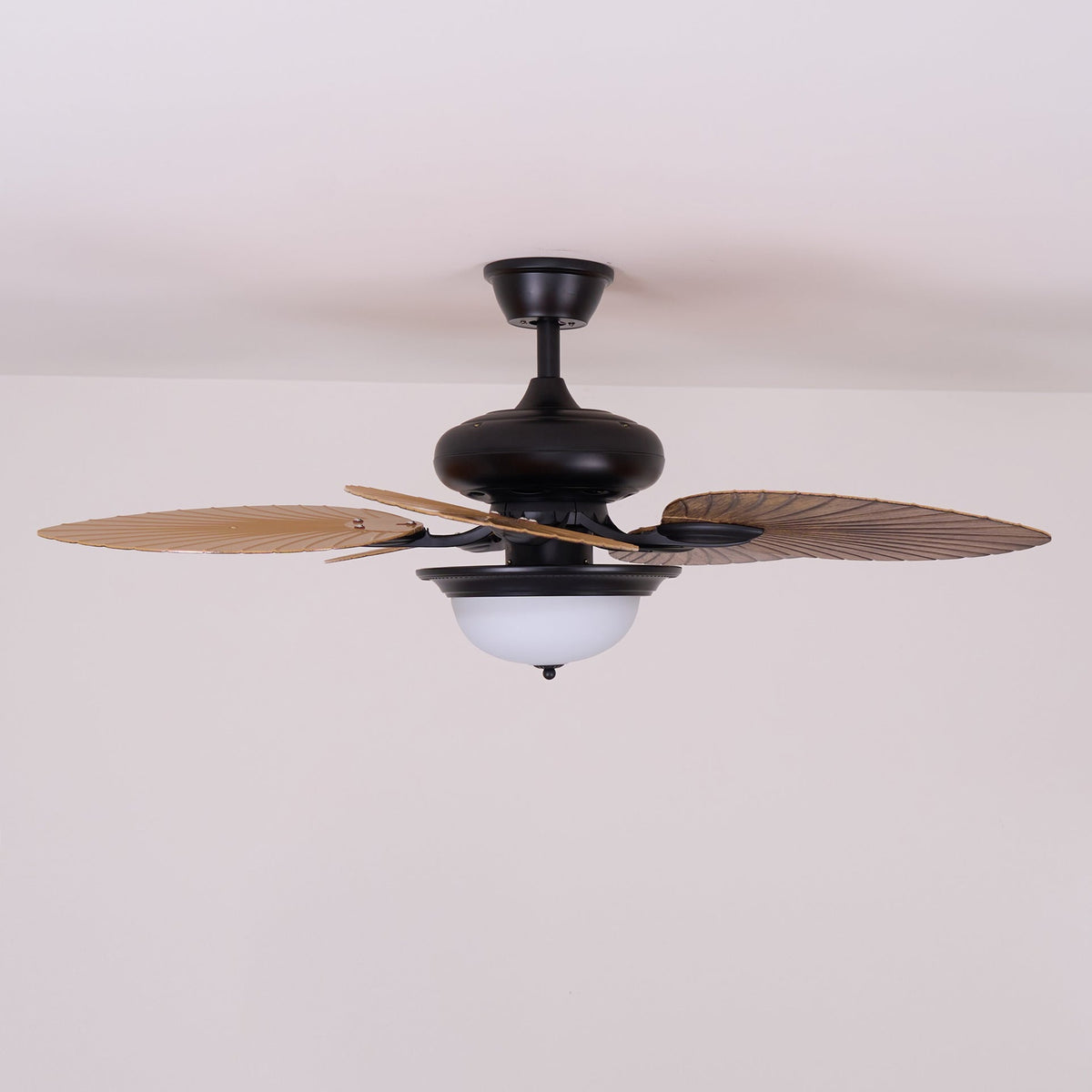 Viraalel Ceiling Fan Light