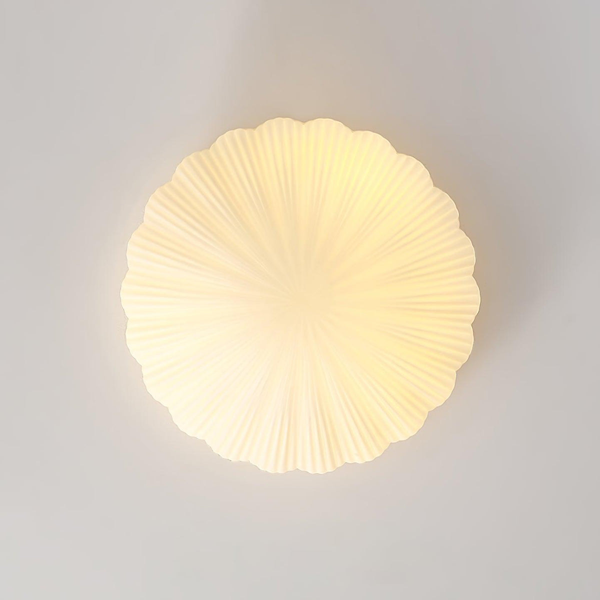 Elo Ceiling Lamp Seashell Shape Ribbed Soft Elegant