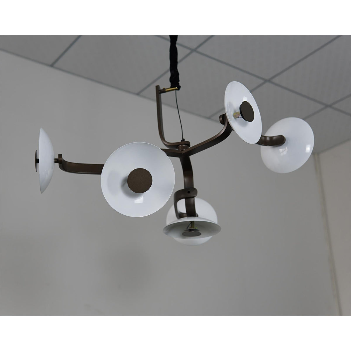 Veluira Brown Chandelier