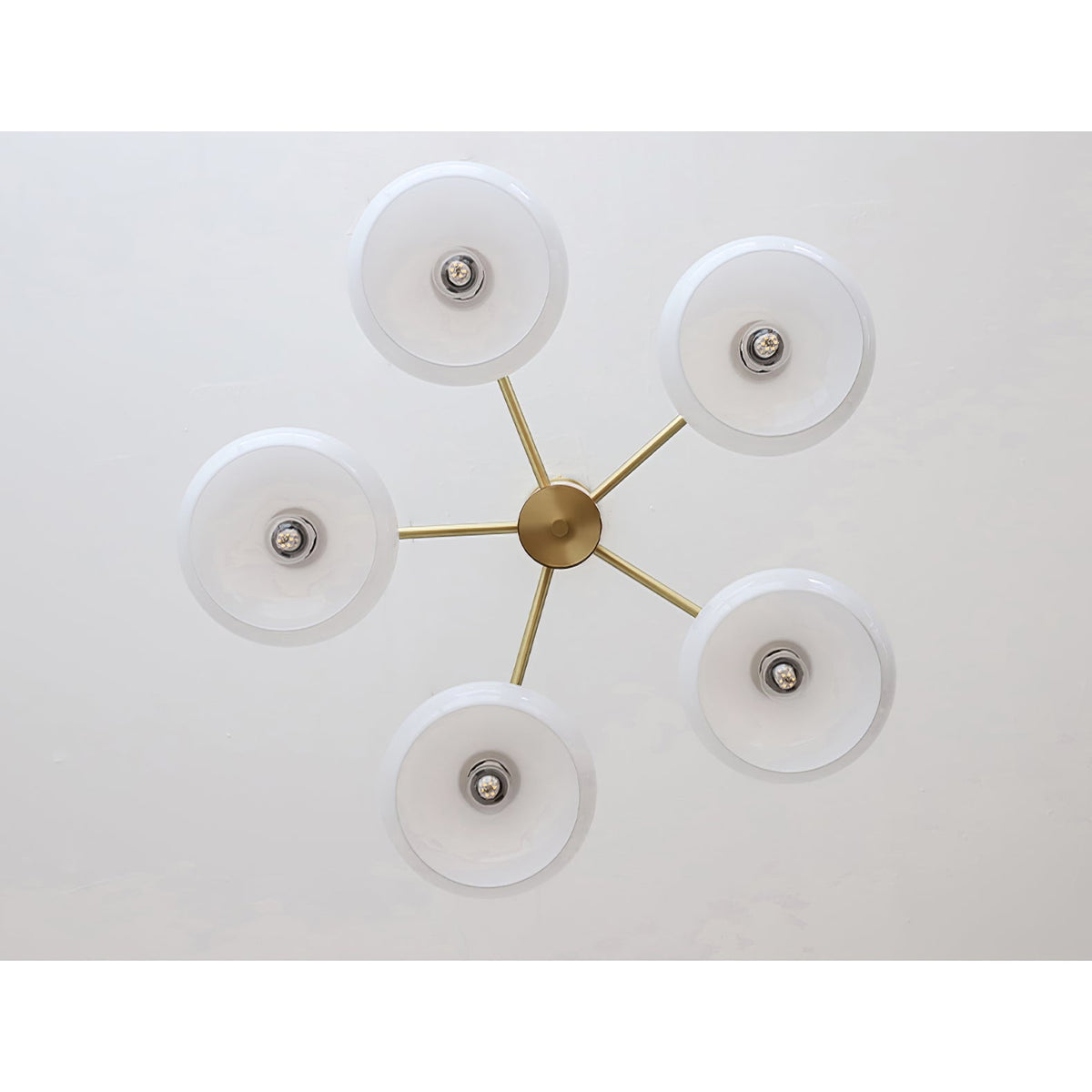 Yado Elliptical Persimmon Chandelier
