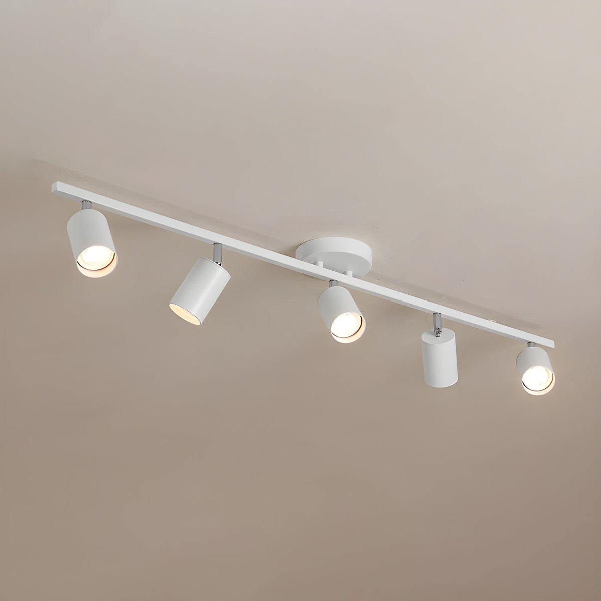 Quadra Aluminum Contemporary Ceiling Light