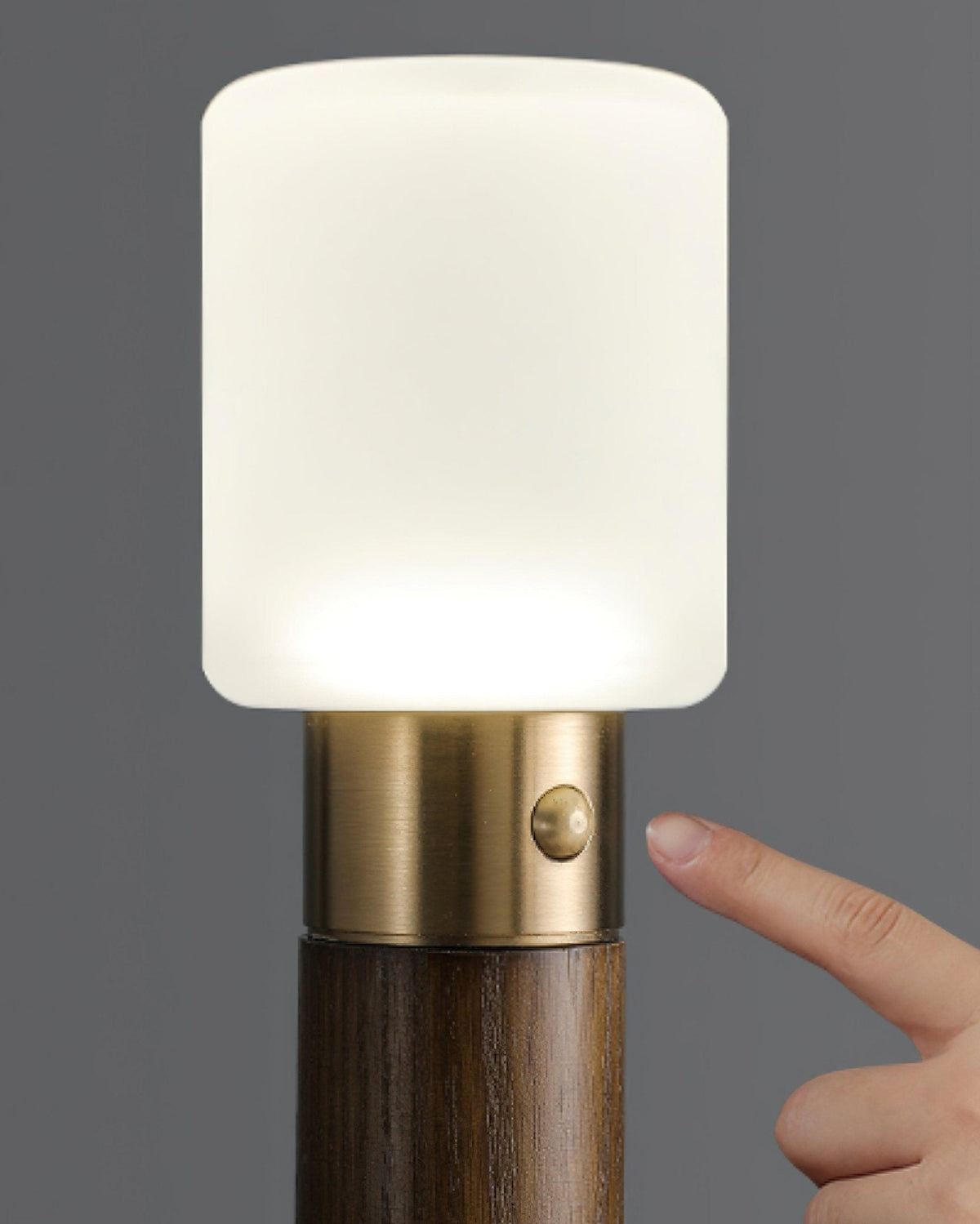 Lumaice Wood Minimalist Table Lamp