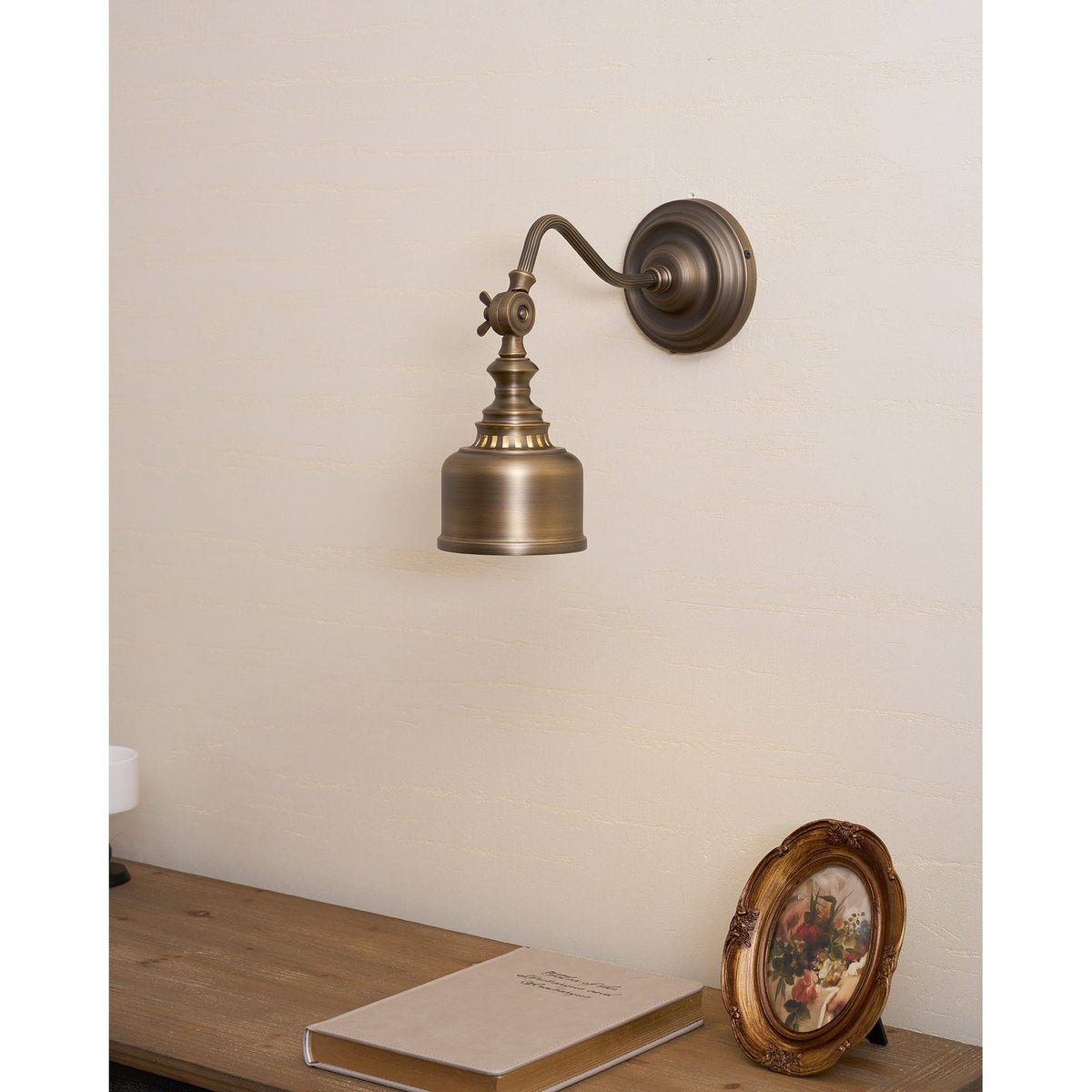 Dukia Gooseneck Indoor Wall Light