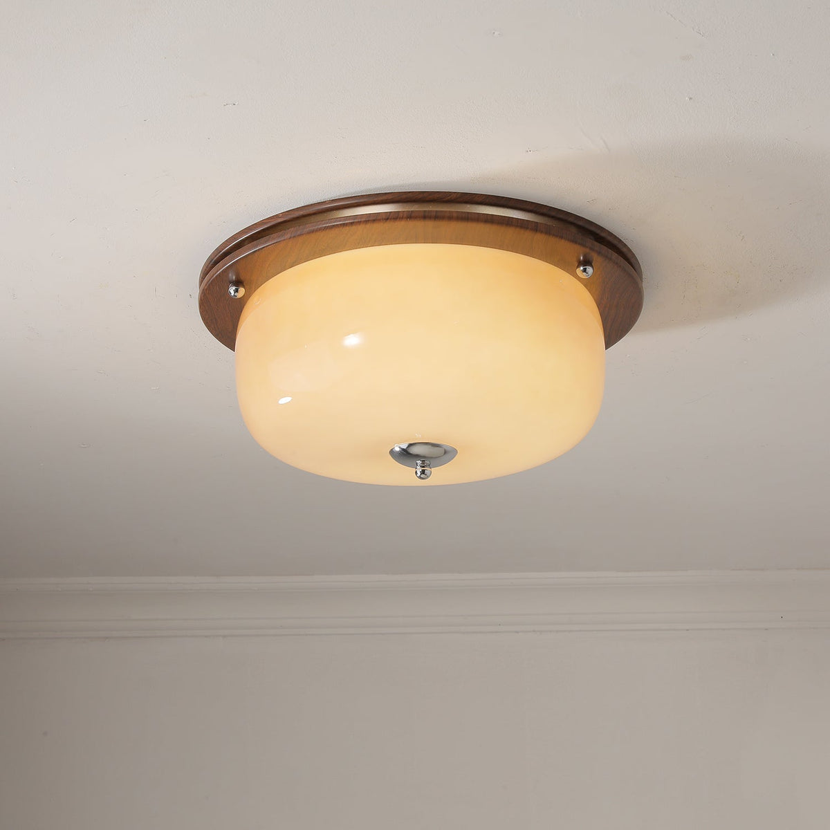Vetheel Premium Nordic Art Dome Glass Ceiling Light