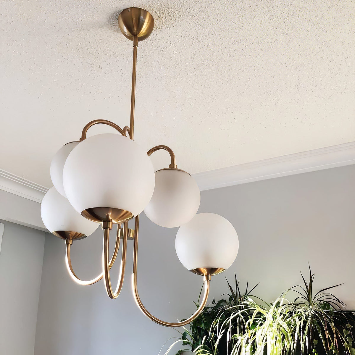 Lumenine Chandelier
