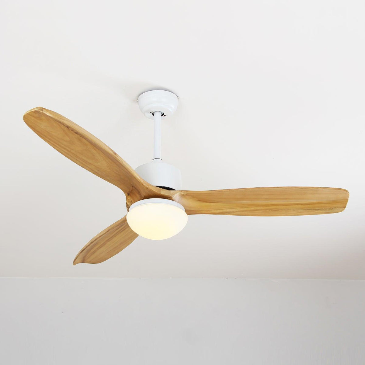 Norirora Elegance Natural Ceiling Fan Light