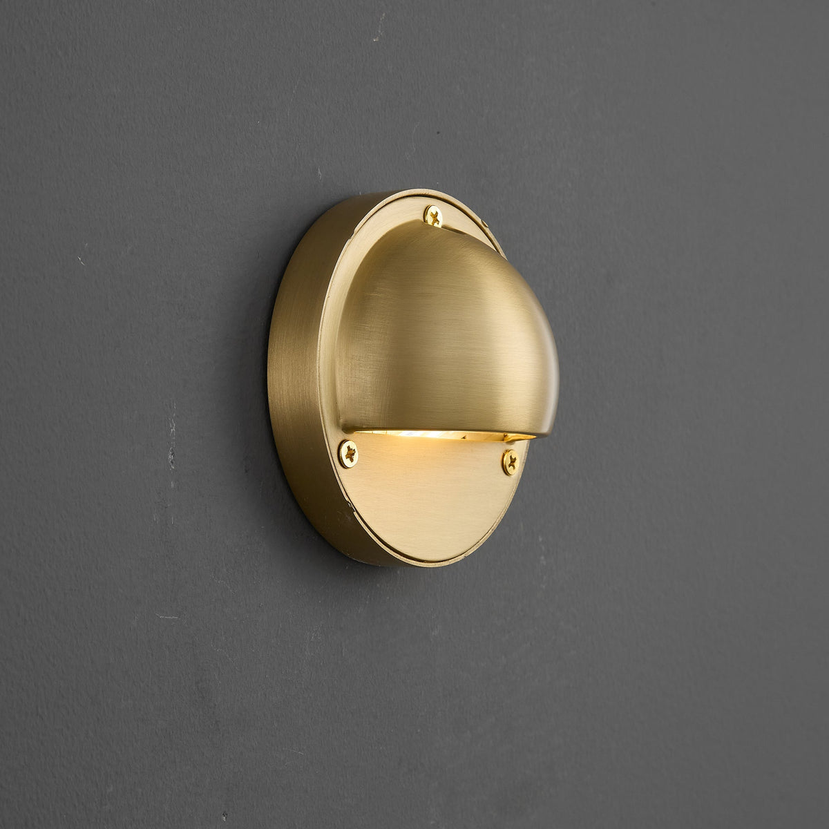 Goxia Brass Indoor Wall Light