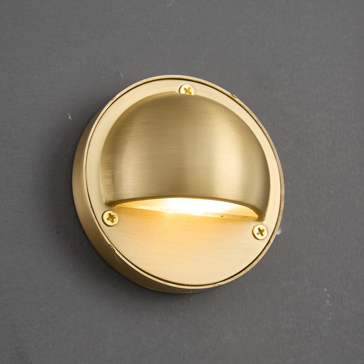 Goxia Brass Indoor Wall Light