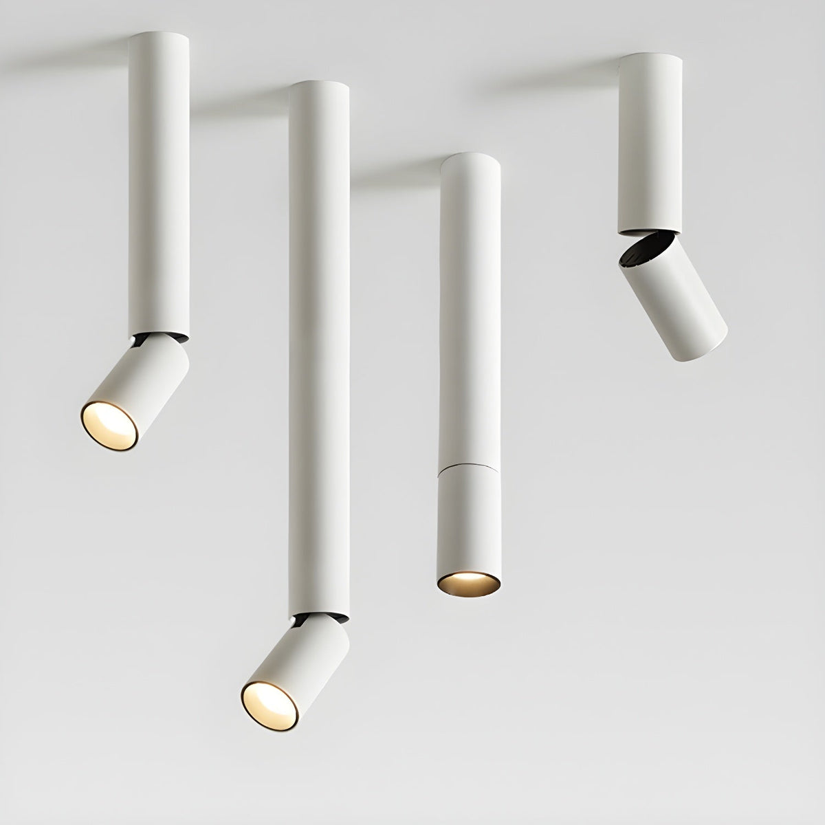 Elvynira Adjustable Surface Downlight Ceiling lamp