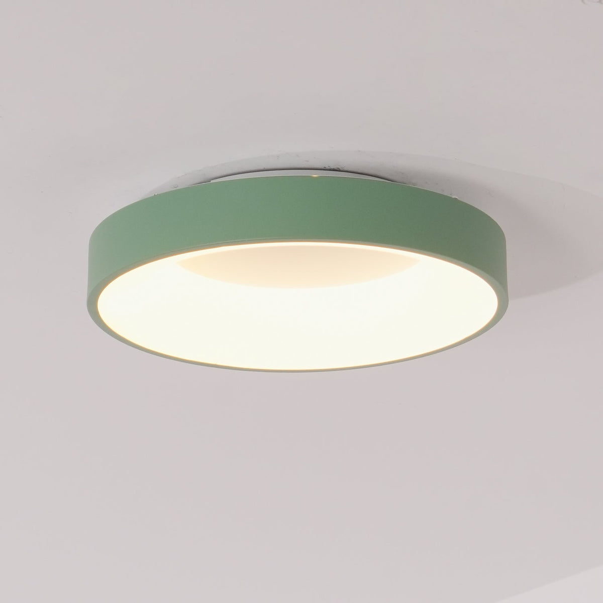 Boika Minimalist Flush Mount Ceiling Light