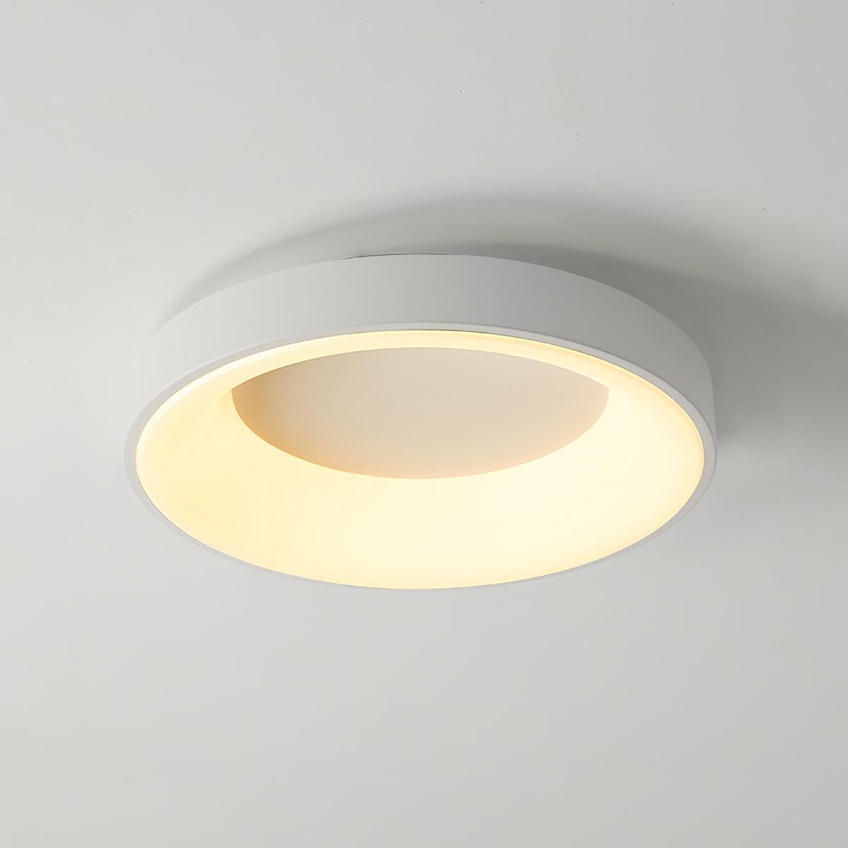 Boika Minimalist Flush Mount Ceiling Light