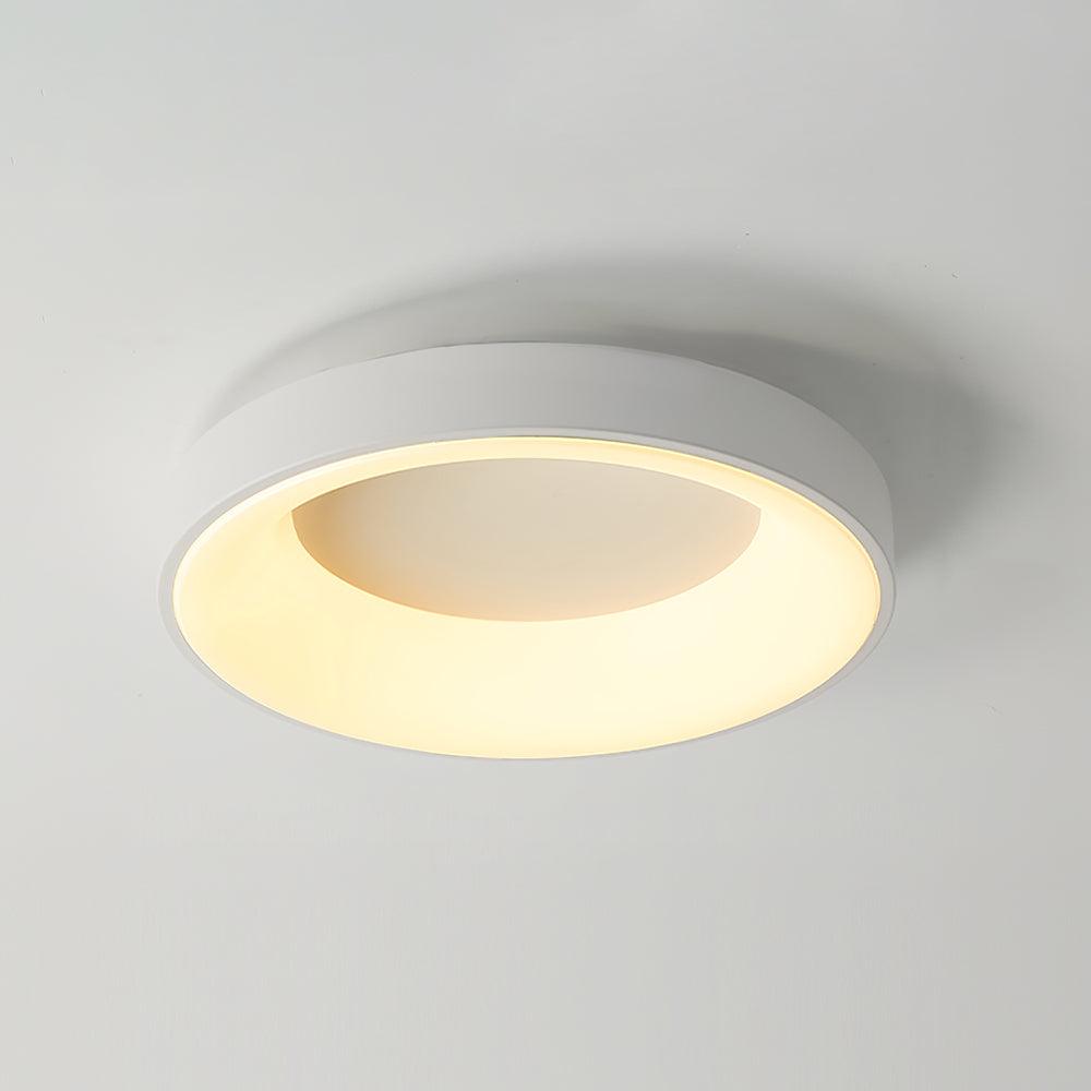 Boika Minimalist Flush Mount Ceiling Light