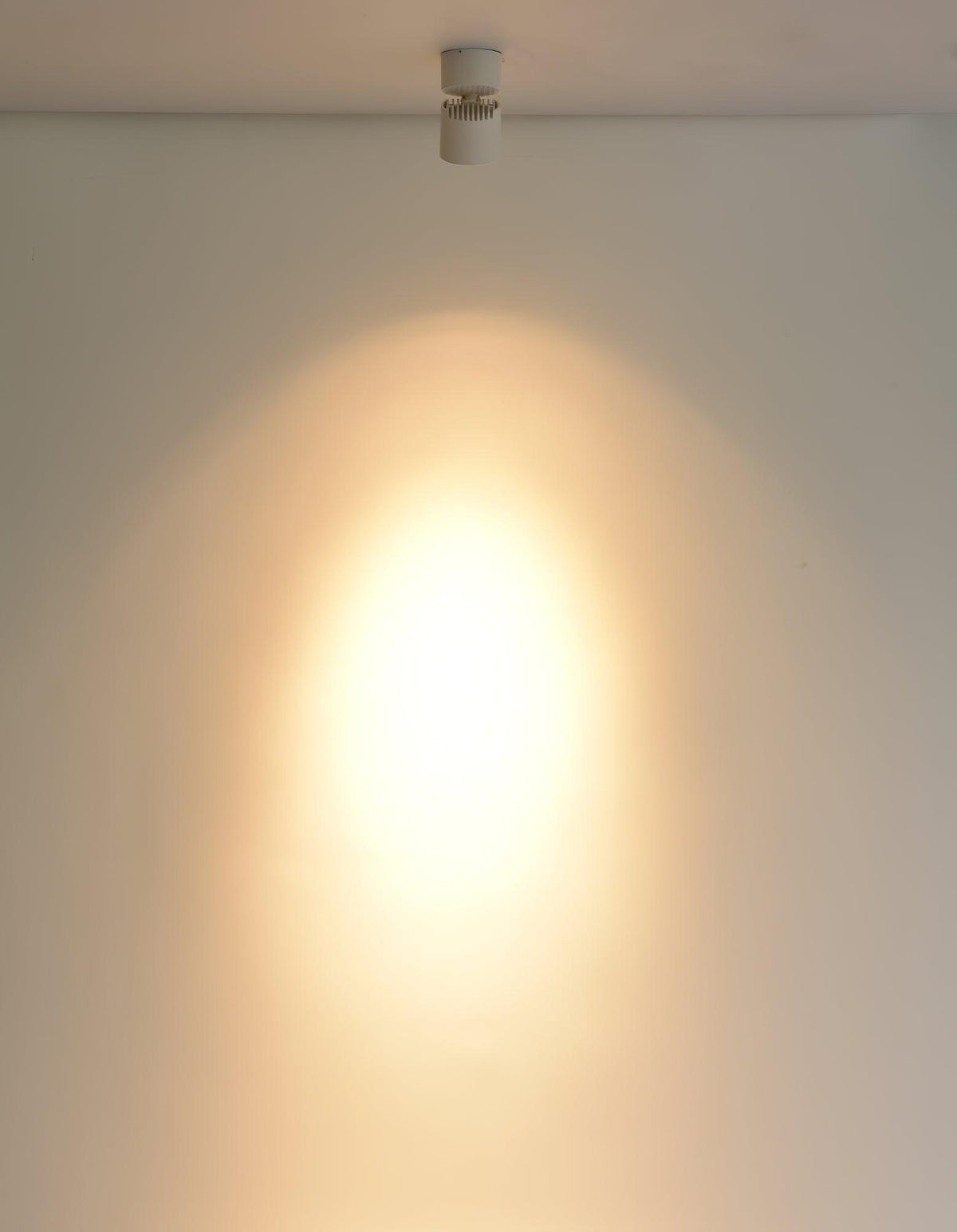 Alvynora Modern Minimalist Spotlights Ceiling lamp