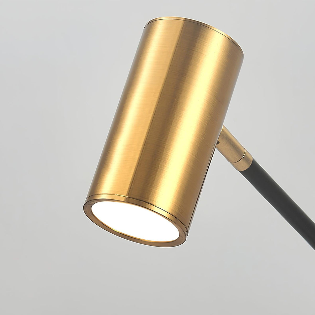 Ivpharil Frosted Floor Lamp