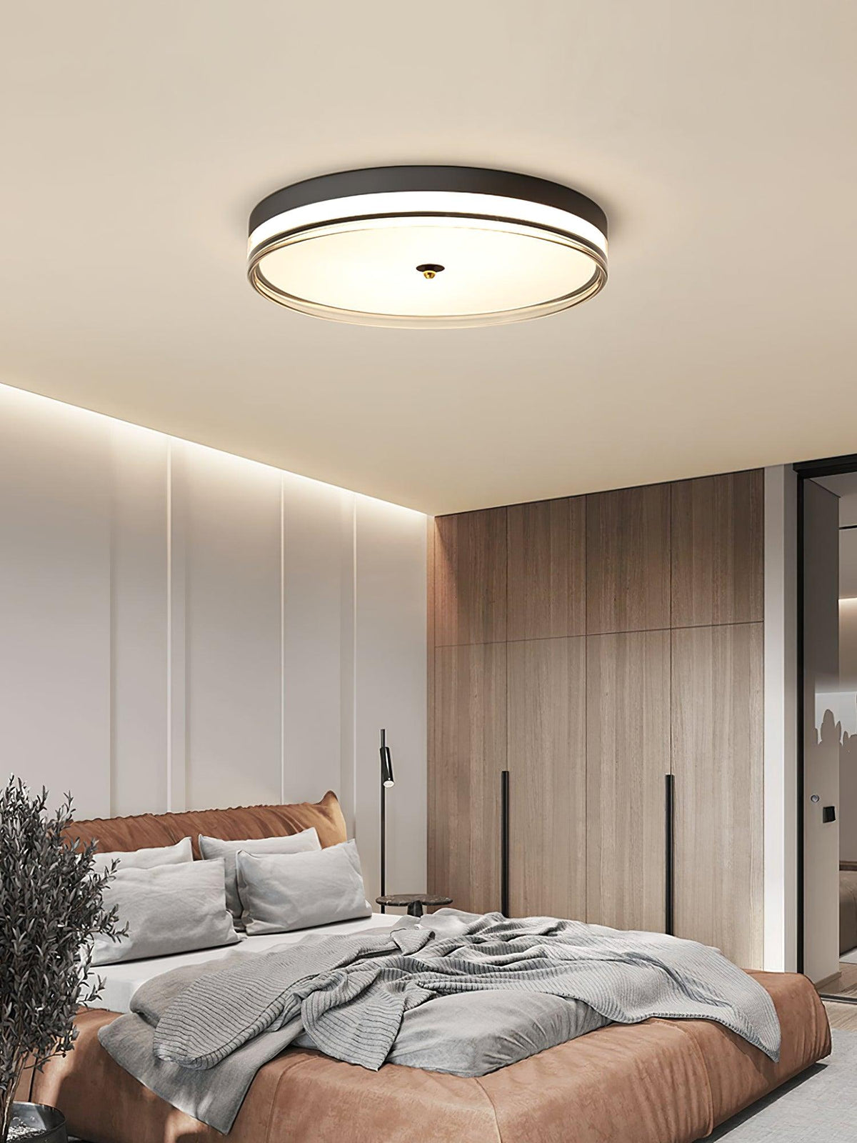 Usolira Modern Minimalist Ceiling Light