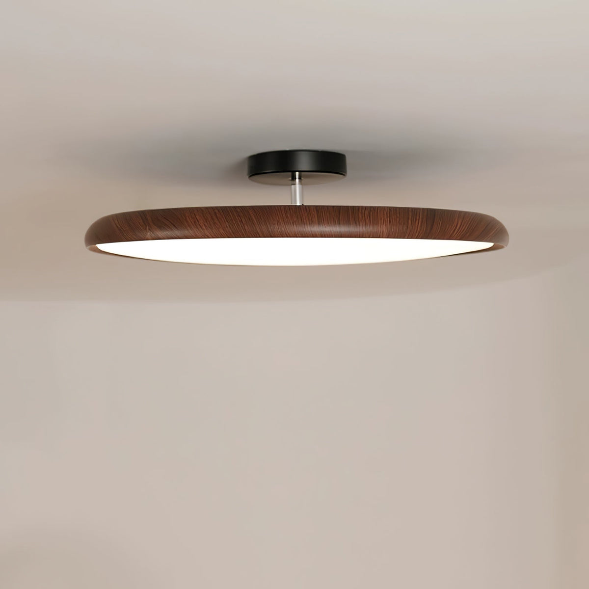 Ralemu Modern Minimalist Adjustable Ceiling Lamp