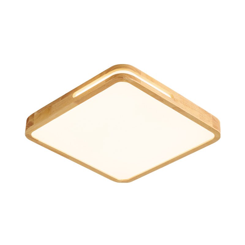 Vizoros Modern Minimalist Ceiling Light