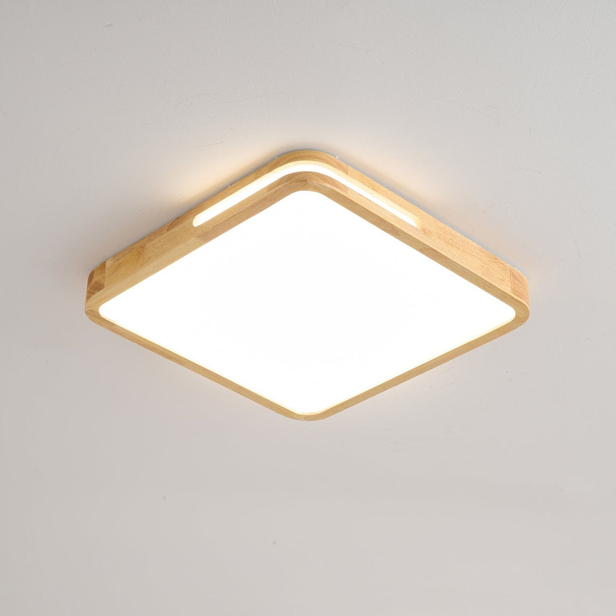 Vizoros Modern Minimalist Ceiling Light