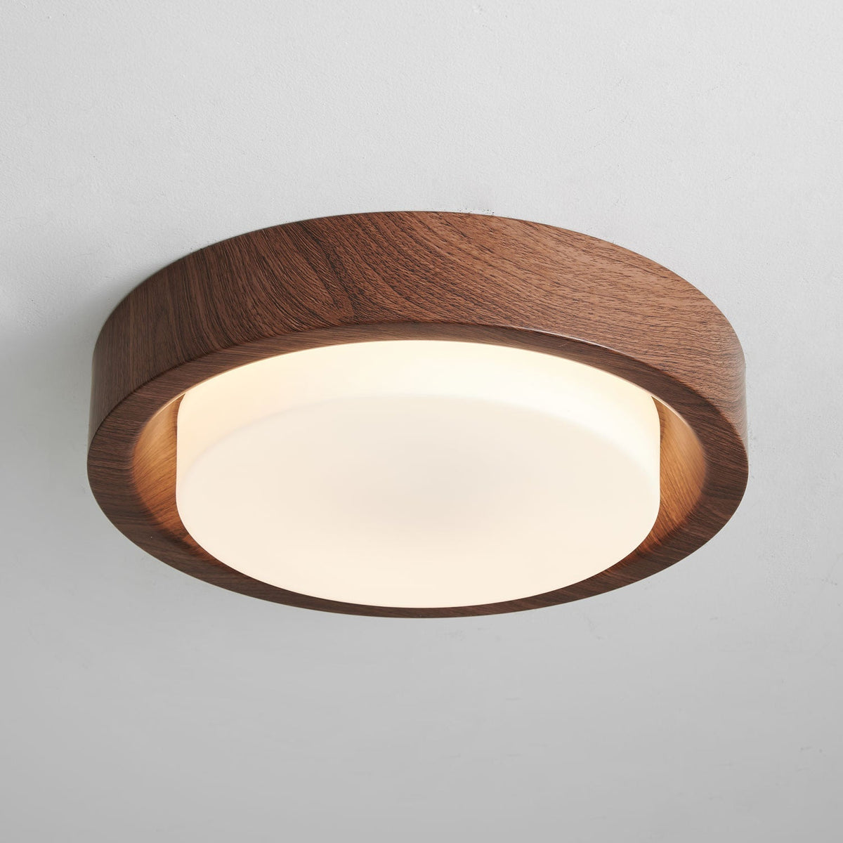 Sylaeon Minimalist Wood Ceiling Light