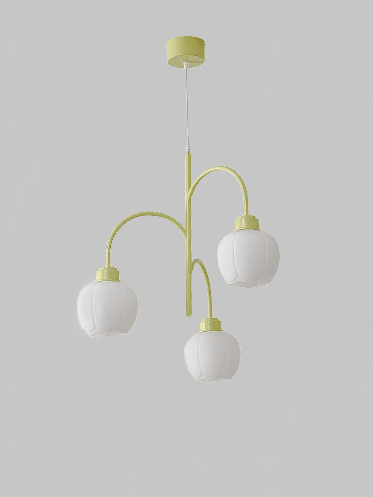 Pane Chandelier Flower Petal Modern