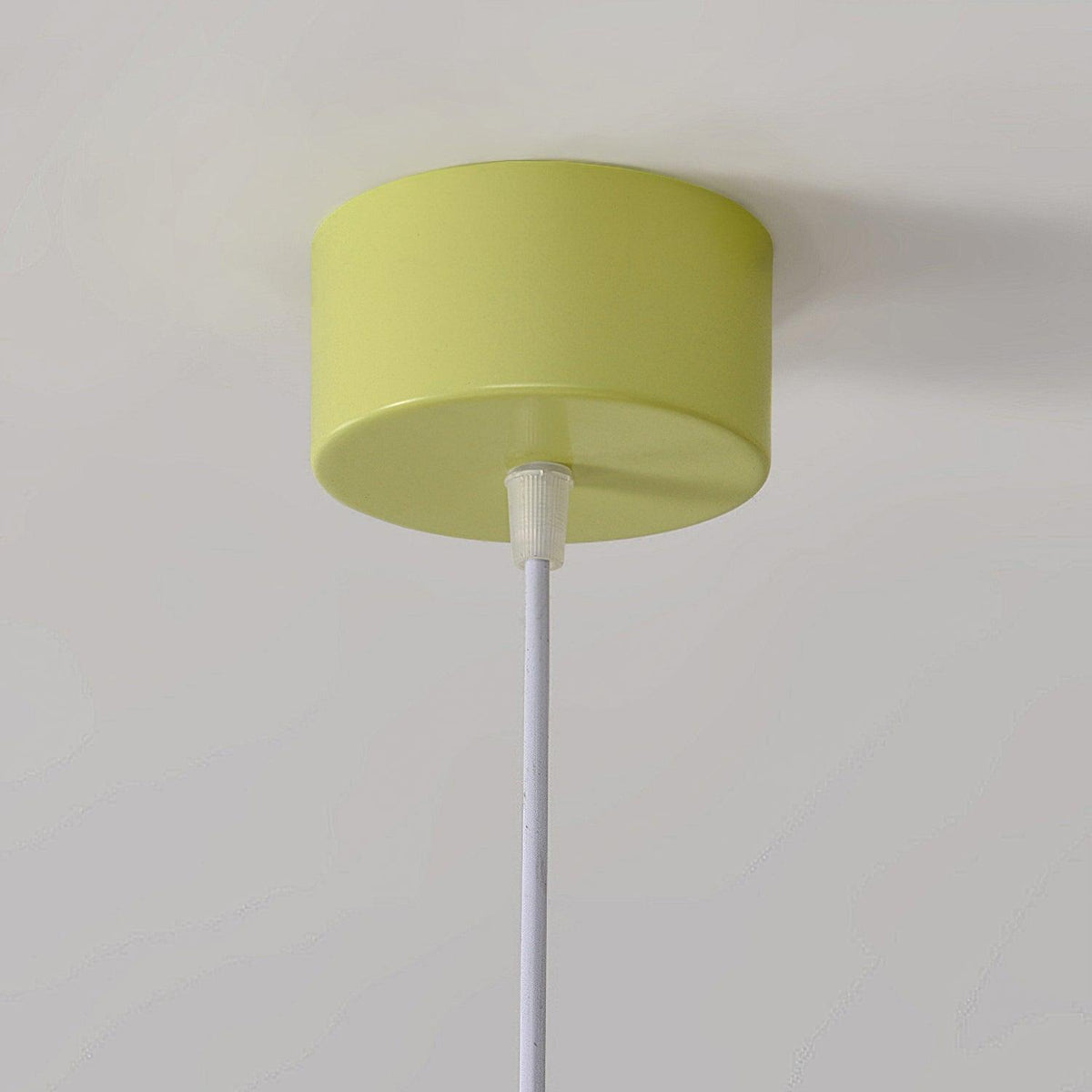 Pane Chandelier Flower Petal Modern